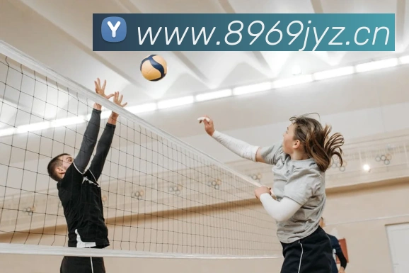 乐竞官方网站平台生态图